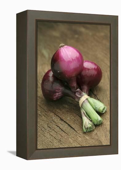 Three Red Onions on Wooden Background-Vladimir Shulevsky-Framed Premier Image Canvas