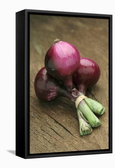 Three Red Onions on Wooden Background-Vladimir Shulevsky-Framed Premier Image Canvas