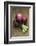 Three Red Onions on Wooden Background-Vladimir Shulevsky-Framed Photographic Print