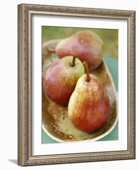 Three Red Williams Pears in a Bowl-Alain Caste-Framed Photographic Print