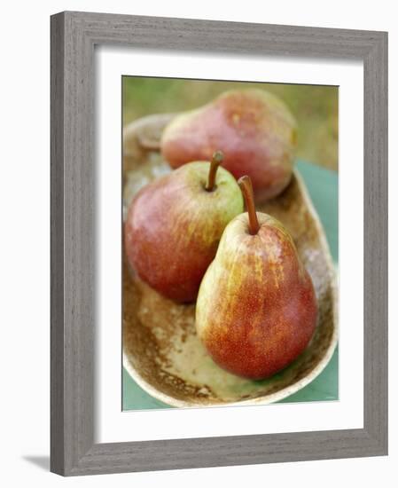 Three Red Williams Pears in a Bowl-Alain Caste-Framed Photographic Print