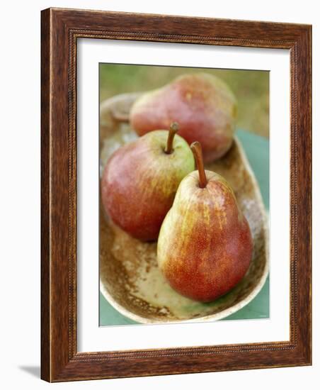 Three Red Williams Pears in a Bowl-Alain Caste-Framed Photographic Print