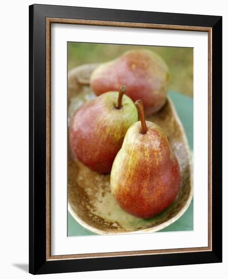 Three Red Williams Pears in a Bowl-Alain Caste-Framed Photographic Print