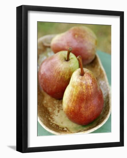 Three Red Williams Pears in a Bowl-Alain Caste-Framed Photographic Print