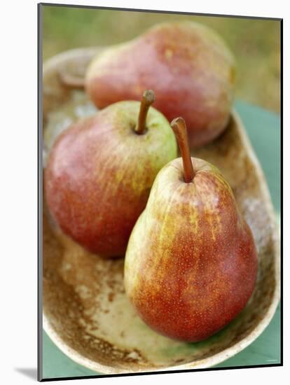 Three Red Williams Pears in a Bowl-Alain Caste-Mounted Photographic Print