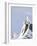 Three Rock Ptarmigan (Lagopus Mutus) Perched, Winter Plumage, Cairngorms Np, Highlands, Scotland-Peter Cairns-Framed Photographic Print