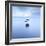 Three Rocks-Doug Chinnery-Framed Photographic Print