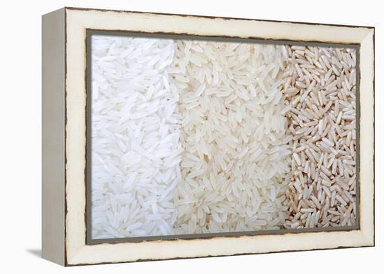 Three Rows of Rice Varieties-felker-Framed Premier Image Canvas