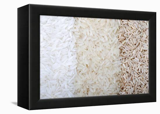 Three Rows of Rice Varieties-felker-Framed Premier Image Canvas