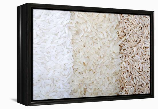 Three Rows of Rice Varieties-felker-Framed Premier Image Canvas