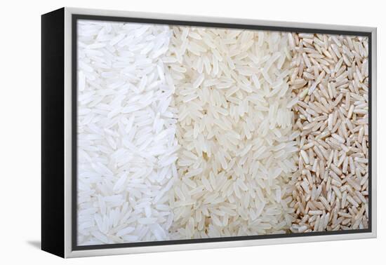 Three Rows of Rice Varieties-felker-Framed Premier Image Canvas