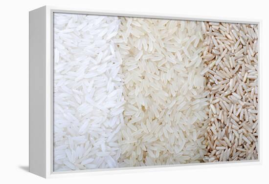 Three Rows of Rice Varieties-felker-Framed Premier Image Canvas