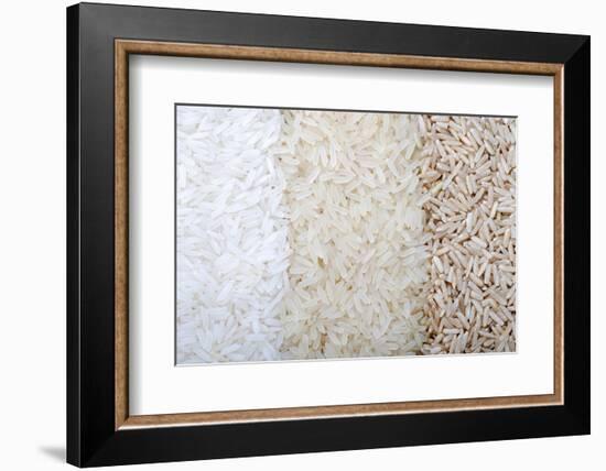 Three Rows of Rice Varieties-felker-Framed Photographic Print