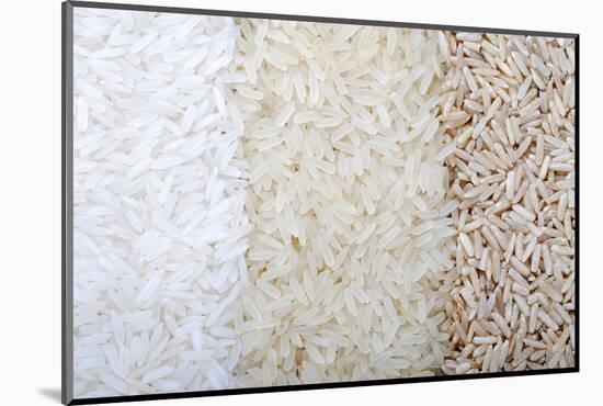 Three Rows of Rice Varieties-felker-Mounted Photographic Print