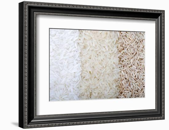 Three Rows of Rice Varieties-felker-Framed Photographic Print