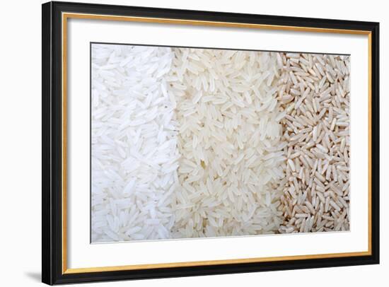 Three Rows of Rice Varieties-felker-Framed Photographic Print