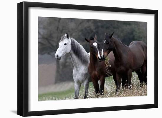 Three's Company-Jorge Llovet-Framed Giclee Print