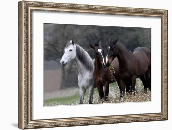 Three's Company-Jorge Llovet-Framed Giclee Print