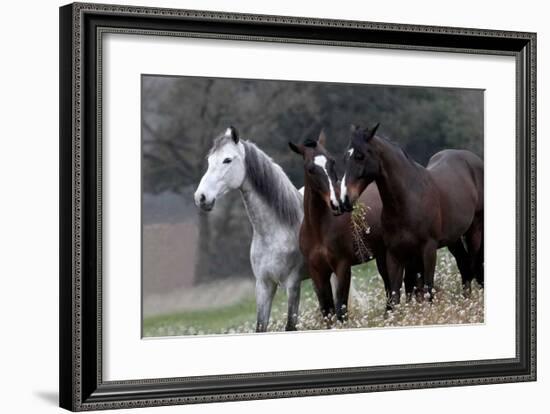 Three's Company-Jorge Llovet-Framed Giclee Print