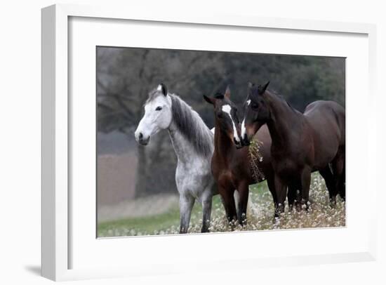 Three's Company-Jorge Llovet-Framed Giclee Print