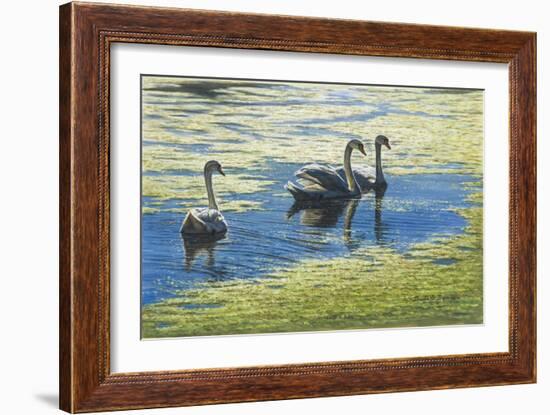 Three's Company-Bruce Dumas-Framed Giclee Print