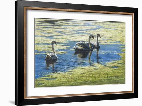 Three's Company-Bruce Dumas-Framed Giclee Print