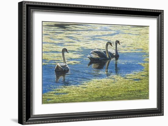 Three's Company-Bruce Dumas-Framed Giclee Print