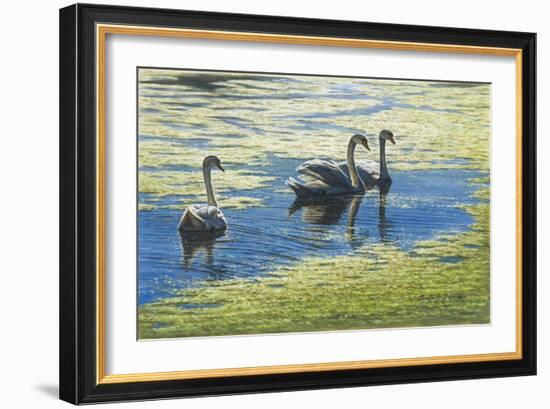 Three's Company-Bruce Dumas-Framed Giclee Print