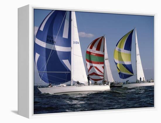 Three Sailboats-null-Framed Premier Image Canvas