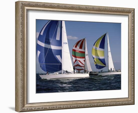 Three Sailboats-null-Framed Photographic Print