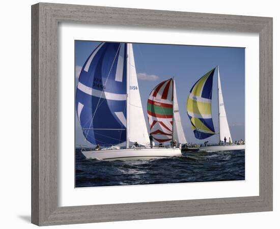 Three Sailboats-null-Framed Photographic Print