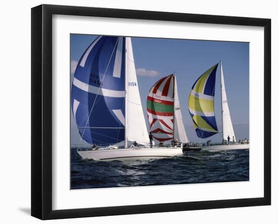 Three Sailboats-null-Framed Photographic Print