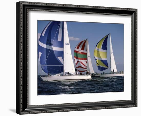 Three Sailboats-null-Framed Photographic Print