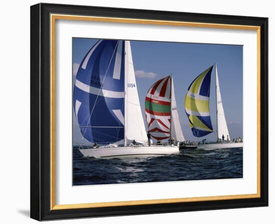 Three Sailboats-null-Framed Photographic Print