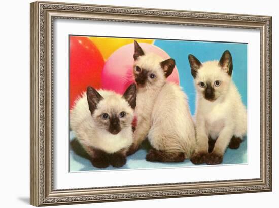 Three Siamese Kittens-null-Framed Art Print