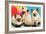 Three Siamese Kittens-null-Framed Art Print