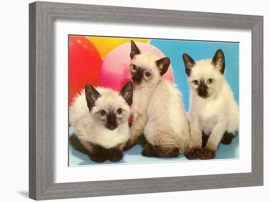 Three Siamese Kittens-null-Framed Art Print