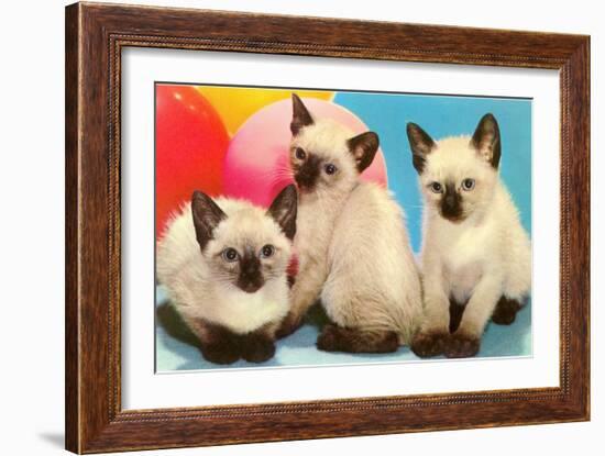 Three Siamese Kittens-null-Framed Art Print