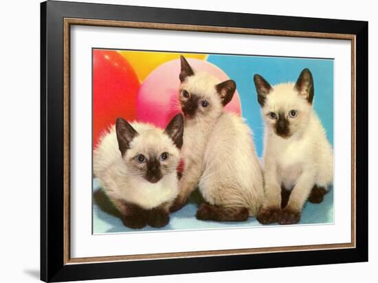 Three Siamese Kittens-null-Framed Art Print