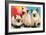 Three Siamese Kittens-null-Framed Art Print