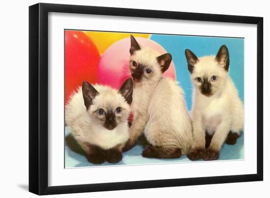 Three Siamese Kittens-null-Framed Art Print