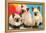 Three Siamese Kittens-null-Framed Stretched Canvas