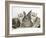 Three Silver Exotic Kittens with Silver Lop Rabbit-Jane Burton-Framed Photographic Print