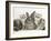 Three Silver Exotic Kittens with Silver Lop Rabbit-Jane Burton-Framed Photographic Print