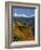 Three Sisters Mountains-Steve Terrill-Framed Photographic Print