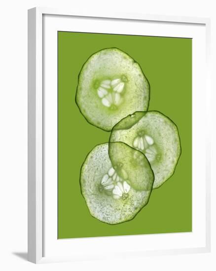 Three Slices of Cucumber on a Green Surface-Steven Morris-Framed Photographic Print