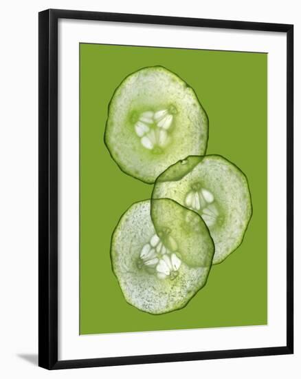 Three Slices of Cucumber on a Green Surface-Steven Morris-Framed Photographic Print