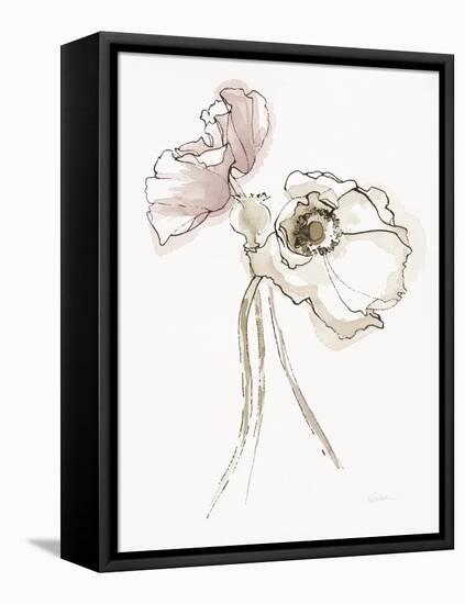 Three Somniferums Poppies Neutral II-Shirley Novak-Framed Stretched Canvas