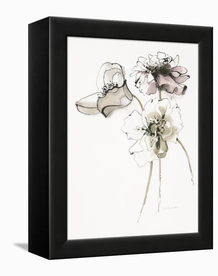 Three Somniferums Poppies Neutral-Shirley Novak-Framed Stretched Canvas