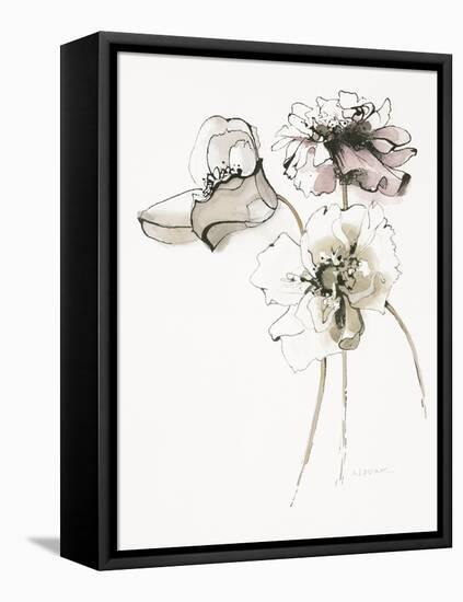 Three Somniferums Poppies Neutral-Shirley Novak-Framed Stretched Canvas